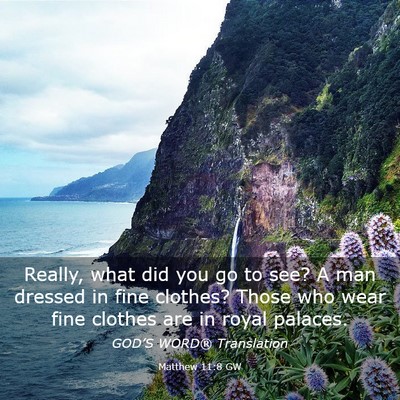 Picture 03 - Matthew 11:8 GW - Really, what did you go to see? A man dressed in - Bible Verse Picture