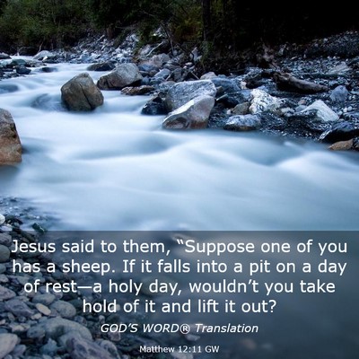 Picture 03 - Matthew 12:11 GW - Jesus said to them, “Suppose one of you has a - Bible Verse Picture
