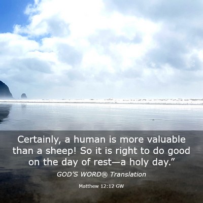 Picture 03 - Matthew 12:12 GW - Certainly, a human is more valuable than a sheep! - Bible Verse Picture