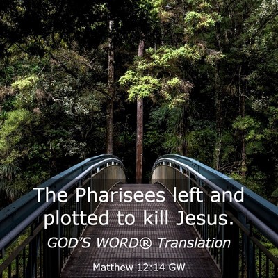 Picture 03 - Matthew 12:14 GW - The Pharisees left and plotted to kill - Bible Verse Picture