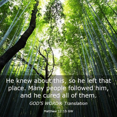Picture 03 - Matthew 12:15 GW - He knew about this, so he left that place. Many - Bible Verse Picture