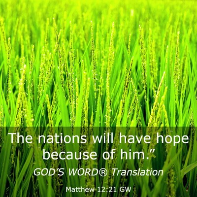 Picture 03 - Matthew 12:21 GW - The nations will have hope because of - Bible Verse Picture