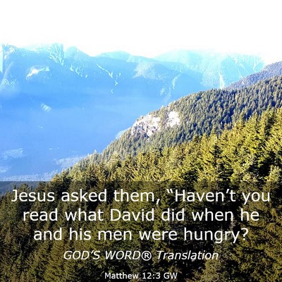 Picture 03 - Matthew 12:3 GW - Jesus asked them, “Haven’t you read what - Bible Verse Picture