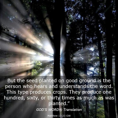 Picture 03 - Matthew 13:23 GW - But the seed planted on good ground is the person - Bible Verse Picture