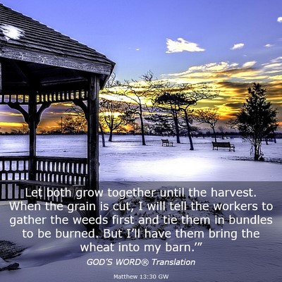 Picture 03 - Matthew 13:30 GW - Let both grow together until the harvest. When - Bible Verse Picture