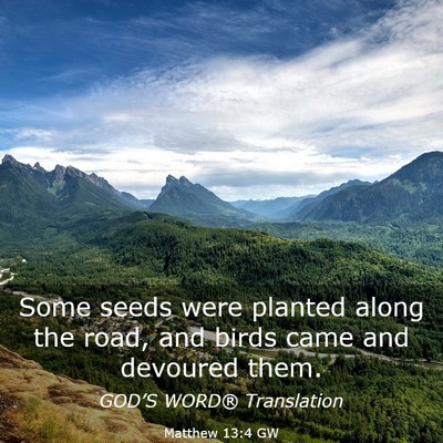 Picture 03 - Matthew 13:4 GW - Some seeds were planted along the road, and birds - Bible Verse Picture