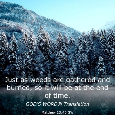 Picture 03 - Matthew 13:40 GW - Just as weeds are gathered and burned, so it will - Bible Verse Picture