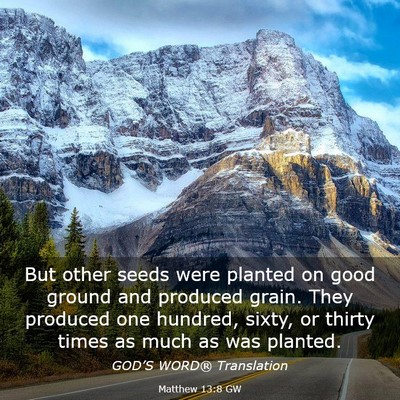 Picture 03 - Matthew 13:8 GW - But other seeds were planted on good ground and - Bible Verse Picture