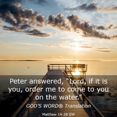 Picture 03 - Matthew 14:28 GW - Peter answered, “Lord, if it is you, order me - Bible Verse Picture