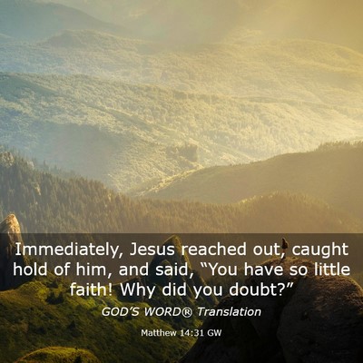Picture 03 - Matthew 14:31 GW - Immediately, Jesus reached out, caught hold of - Bible Verse Picture