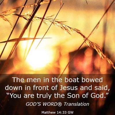 Picture 03 - Matthew 14:33 GW - The men in the boat bowed down in front of Jesus - Bible Verse Picture