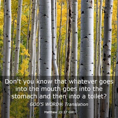 Picture 03 - Matthew 15:17 GW - Don’t you know that whatever goes into the - Bible Verse Picture