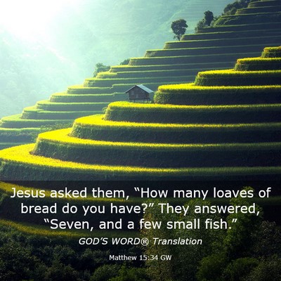 Picture 03 - Matthew 15:34 GW - Jesus asked them, “How many loaves of bread do - Bible Verse Picture