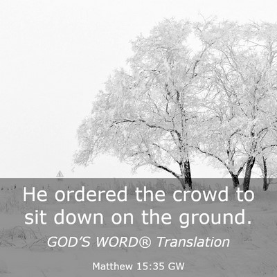 Picture 03 - Matthew 15:35 GW - He ordered the crowd to sit down on the - Bible Verse Picture