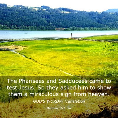 Picture 03 - Matthew 16:1 GW - The Pharisees and Sadducees came to test Jesus. - Bible Verse Picture