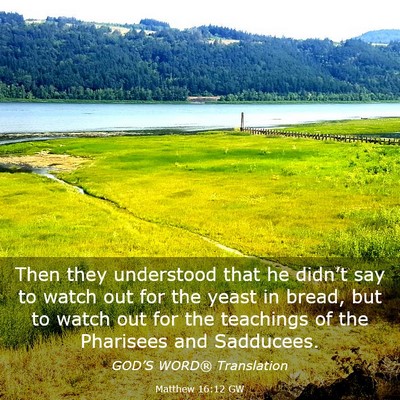 Picture 03 - Matthew 16:12 GW - Then they understood that he didn’t say to - Bible Verse Picture