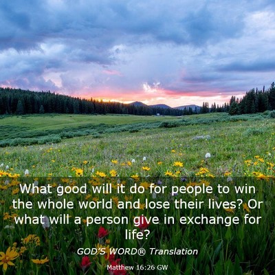 Picture 03 - Matthew 16:26 GW - What good will it do for people to win the whole - Bible Verse Picture