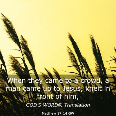 Picture 03 - Matthew 17:14 GW - When they came to a crowd, a man came up to - Bible Verse Picture