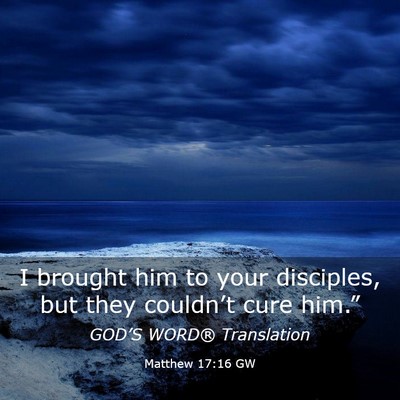 Picture 03 - Matthew 17:16 GW - I brought him to your disciples, but they - Bible Verse Picture