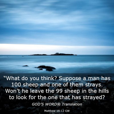 Picture 03 - Matthew 18:12 GW - “What do you think? Suppose a man has 100 sheep - Bible Verse Picture