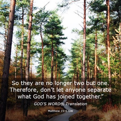 Picture 03 - Matthew 19:6 GW - So they are no longer two but one. Therefore, - Bible Verse Picture