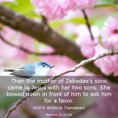 Picture 03 - Matthew 20:20 GW - Then the mother of Zebedee’s sons came to Jesus - Bible Verse Picture