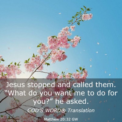 Picture 03 - Matthew 20:32 GW - Jesus stopped and called them. “What do you - Bible Verse Picture