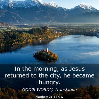 Picture 03 - Matthew 21:18 GW - In the morning, as Jesus returned to the city, he - Bible Verse Picture