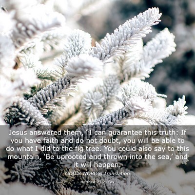 Picture 03 - Matthew 21:21 GW - Jesus answered them, “I can guarantee this - Bible Verse Picture