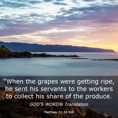 Picture 03 - Matthew 21:34 GW - “When the grapes were getting ripe, he sent his - Bible Verse Picture