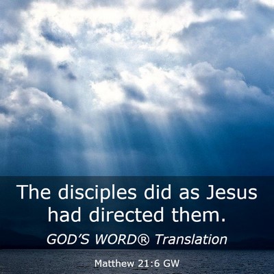 Picture 03 - Matthew 21:6 GW - The disciples did as Jesus had directed - Bible Verse Picture
