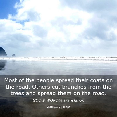 Picture 03 - Matthew 21:8 GW - Most of the people spread their coats on the - Bible Verse Picture