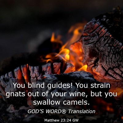 Picture 03 - Matthew 23:24 GW - You blind guides! You strain gnats out of your - Bible Verse Picture