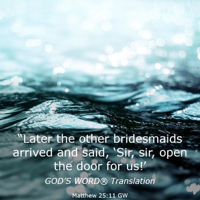 Picture 03 - Matthew 25:11 GW - “Later the other bridesmaids arrived and said, - Bible Verse Picture