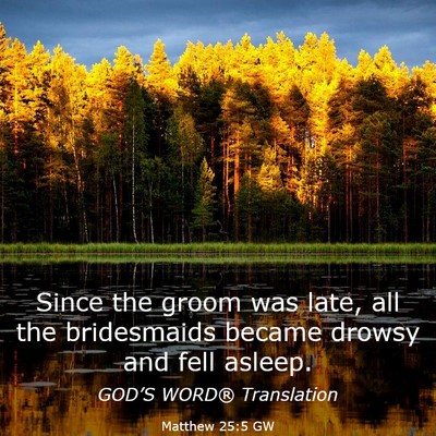 Picture 03 - Matthew 25:5 GW - Since the groom was late, all the bridesmaids - Bible Verse Picture