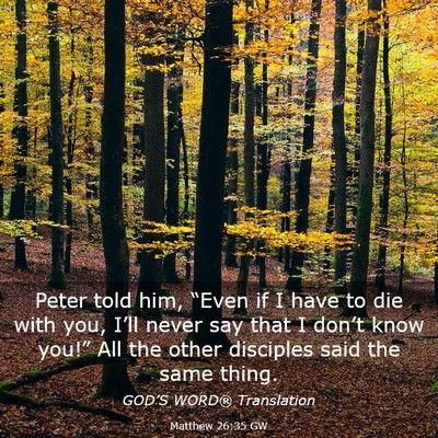 Picture 03 - Matthew 26:35 GW - Peter told him, “Even if I have to die with - Bible Verse Picture