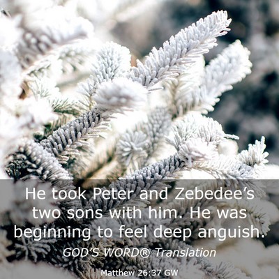 Picture 03 - Matthew 26:37 GW - He took Peter and Zebedee’s two sons with him. - Bible Verse Picture