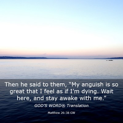 Picture 03 - Matthew 26:38 GW - Then he said to them, “My anguish is so great - Bible Verse Picture