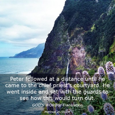 Picture 03 - Matthew 26:58 GW - Peter followed at a distance until he came to the - Bible Verse Picture