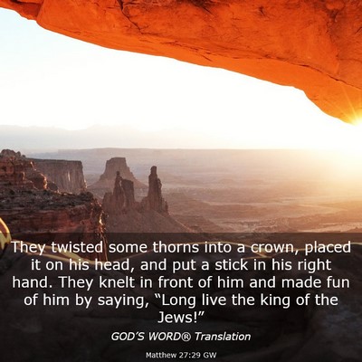Picture 03 - Matthew 27:29 GW - They twisted some thorns into a crown, placed it - Bible Verse Picture