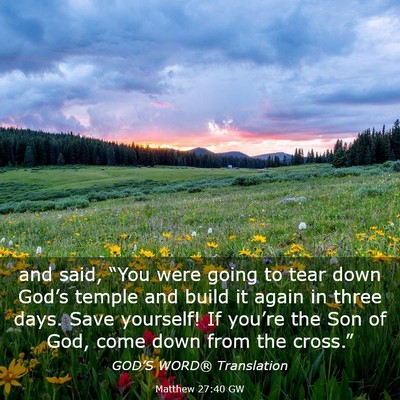 Picture 03 - Matthew 27:40 GW - and said, “You were going to tear down God’s - Bible Verse Picture