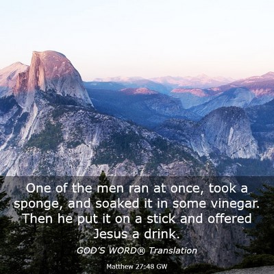 Picture 03 - Matthew 27:48 GW - One of the men ran at once, took a sponge, and - Bible Verse Picture