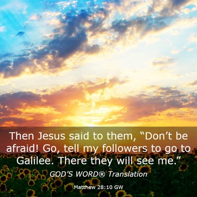 Picture 03 - Matthew 28:10 GW - Then Jesus said to them, “Don’t be afraid! - Bible Verse Picture