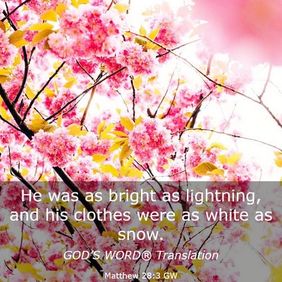 Picture 03 - Matthew 28:3 GW - He was as bright as lightning, and his clothes - Bible Verse Picture