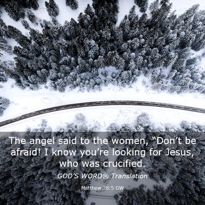 Picture 03 - Matthew 28:5 GW - The angel said to the women, “Don’t be - Bible Verse Picture