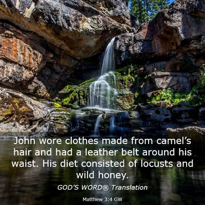 Picture 03 - Matthew 3:4 GW - John wore clothes made from camel’s hair and - Bible Verse Picture