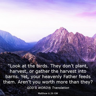 Picture 03 - Matthew 6:26 GW - “Look at the birds. They don’t plant, - Bible Verse Picture