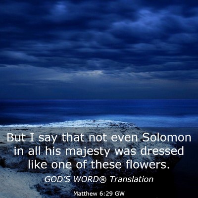 Picture 03 - Matthew 6:29 GW - But I say that not even Solomon in all his - Bible Verse Picture