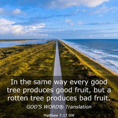 Picture 03 - Matthew 7:17 GW - In the same way every good tree produces good - Bible Verse Picture