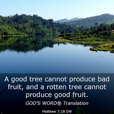 Picture 03 - Matthew 7:18 GW - A good tree cannot produce bad fruit, and a - Bible Verse Picture